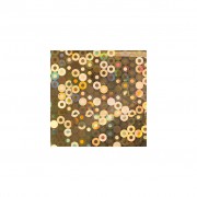 118231 Transfer foil Hologram Gold circle 1.5m 118231 Transfer foil Hologram Gold circle 1.5m