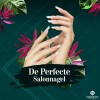 De perfecte salonnagel