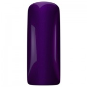 Purple Beatle