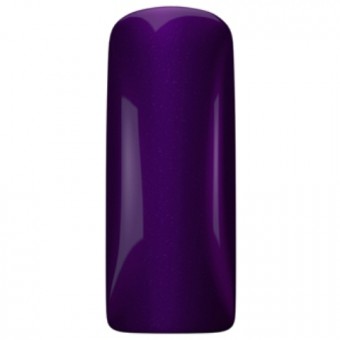 Purple Beatle