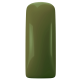 Normandy Green