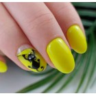  Pineappel