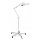 SIBEL DUAL LIGHT BEAUTY LAMP 12W