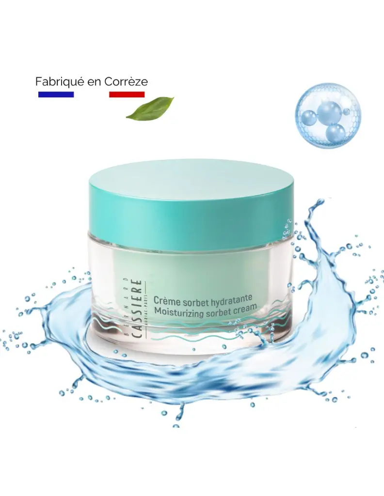 creme-sorbet-haute-hydratation-bambou-aloe-vera-bio (2).webp