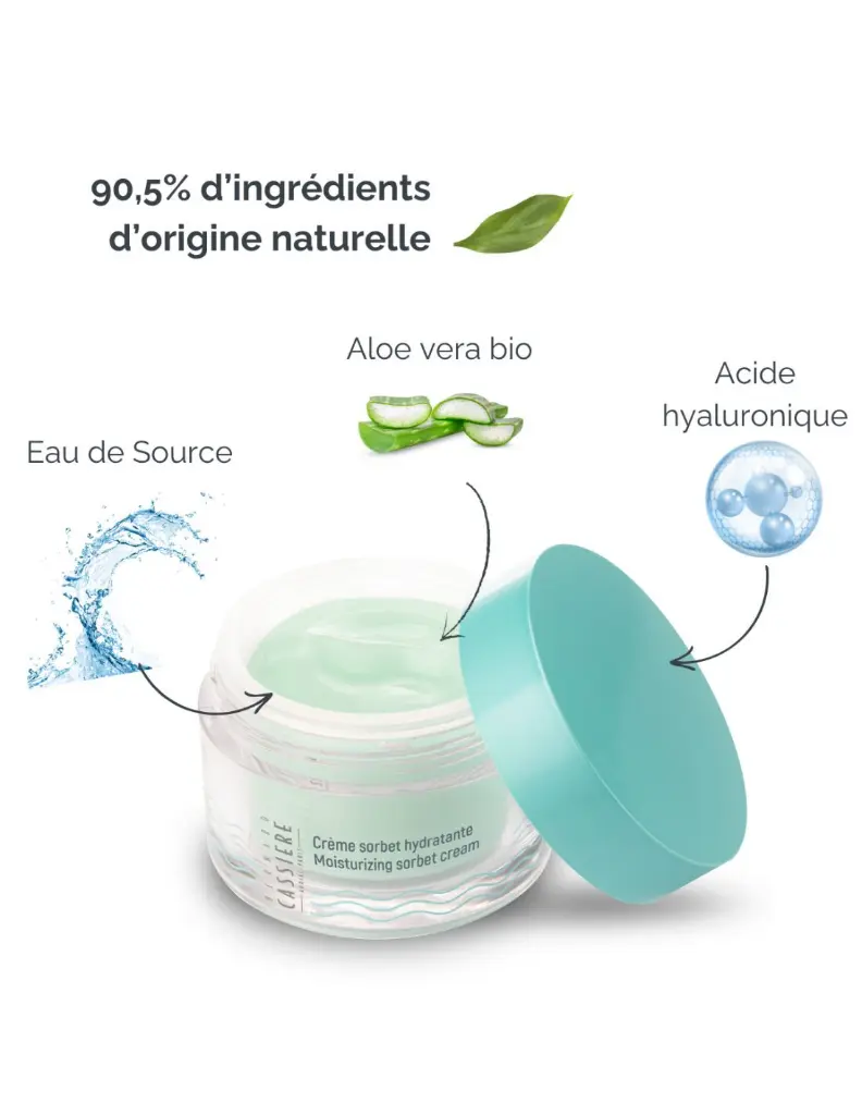 creme-sorbet-haute-hydratation-bambou-aloe-vera-bio.webp