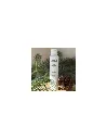 lotion den 3 .webp