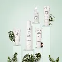 WHITE PINE PERFECTING CARE.webp